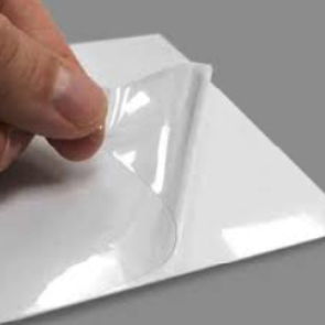 Máscara Transparente